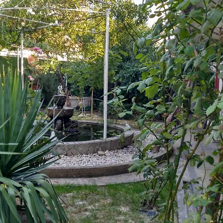 Hostel Pension-Albergue Don Alvaro *