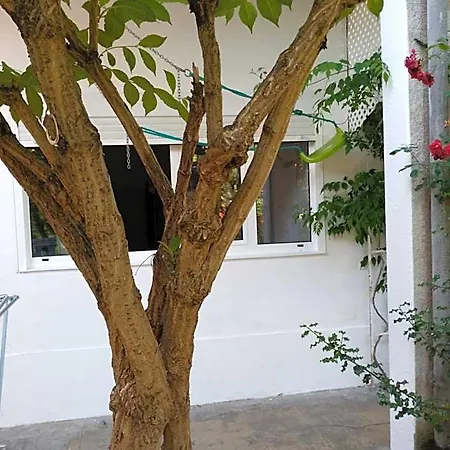Pension-albergue Don Alvaro Ostello