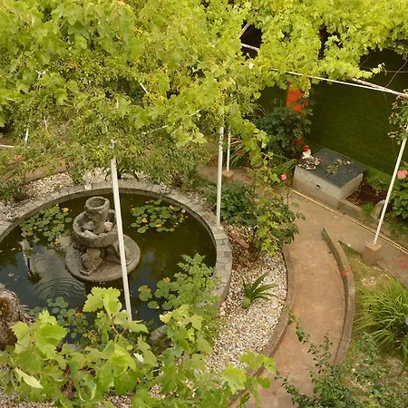Pension-Albergue Don Alvaro Hostel *