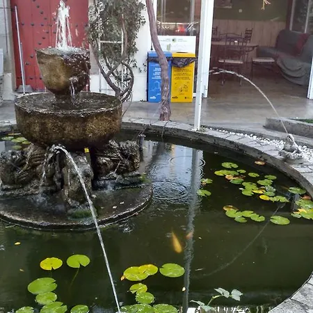 Hostal Pension-albergue Don Alvaro *