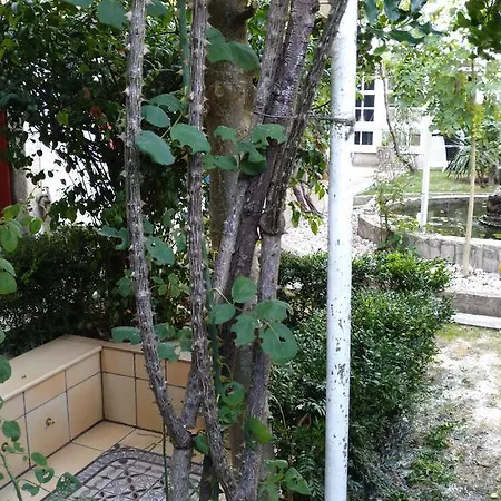 Pension-albergue Don Alvaro Hostal Sarria