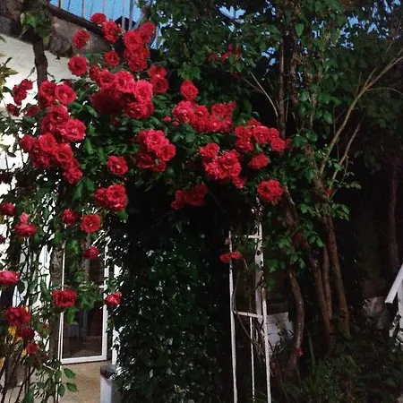 Hostel Pension-albergue Don Alvaro *