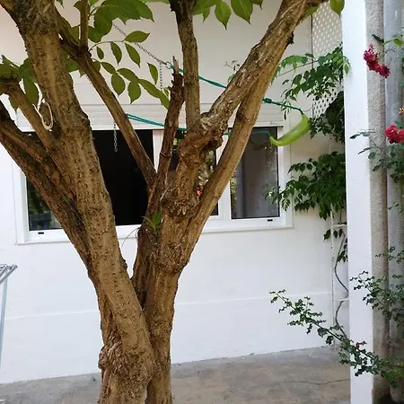 Pension-albergue Don Alvaro * Sarria