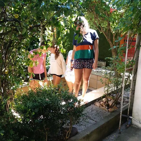 Pension-albergue Don Alvaro Hostel *