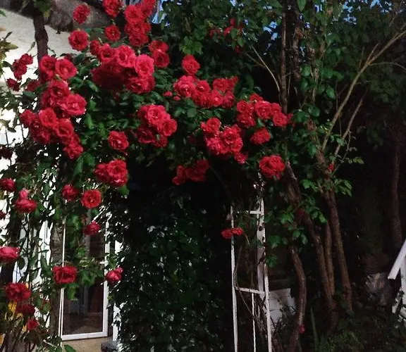 بيت شباب Pension-albergue Don Alvaro *